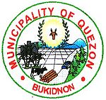 Ex Quezon Bukidnon mayor permanently banned from running for public office
