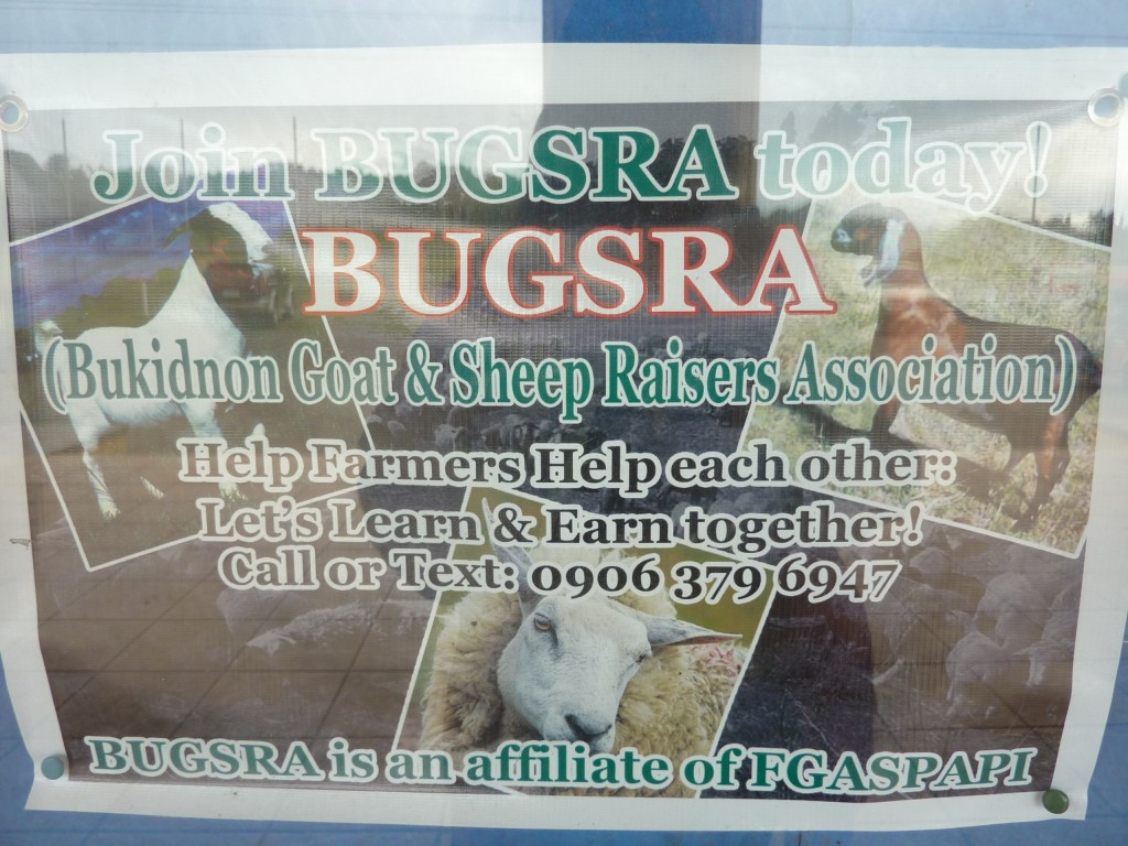 bukidnon goat and sheep raisers association | bugsra