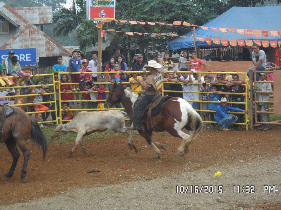kaamulan 2015 rodeo