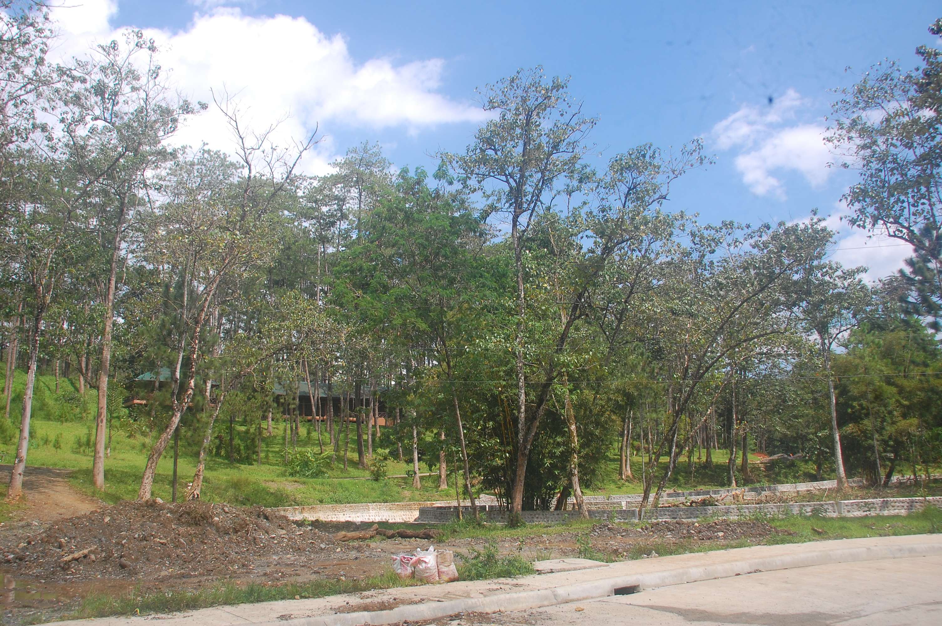 kaamulan grounds malaybalay bukidnon