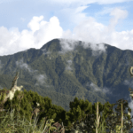 Malaybalay LGU wants to reopen trail to Mount Dulang-dulang