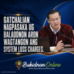 Gatchalian Files Bill Seeking to End System Loss Charges gatchalian bill system loss charges